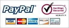 Your Company PayPal